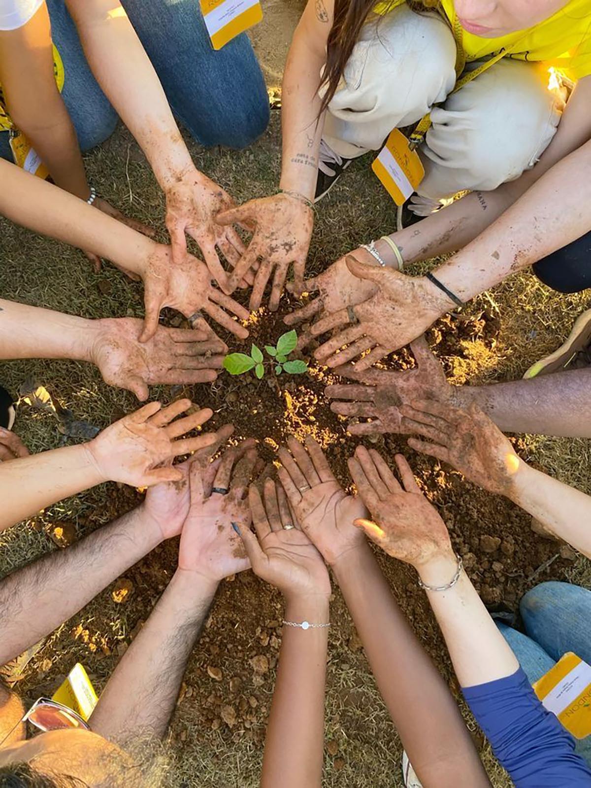 các kỹ năng sống cho trẻ mầm non